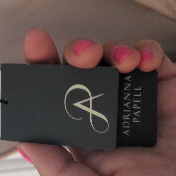 BRAND NEW WITH TAGS Adrianna Papell Beaded Mesh Dress - Picture 9 of 12